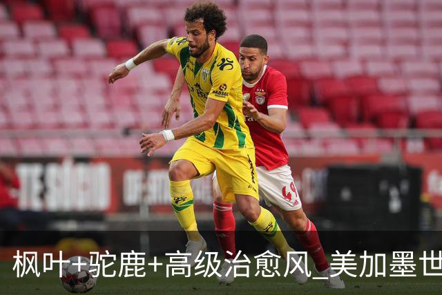 枫叶+驼鹿+高级治愈风 美加墨世界杯加拿大赛区开幕